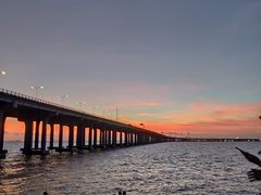 -宝安西湾红树林湿地公园