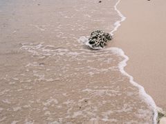 -三亚西岛海洋文化旅游区