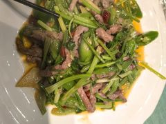 -西塘人家•黑金冠本地好店