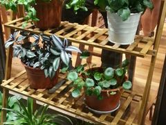 -猫的天空之城概念书店(杭州南宋御街店)