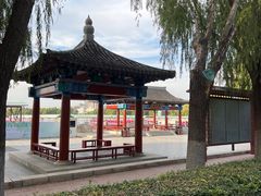 -莲花池公园