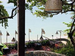 -卷心菜和避孕套餐厅(Pattaya)