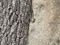 -天津盘山风景名胜区