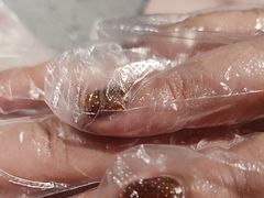 -海底捞火锅(龙湖北京大兴天街店)