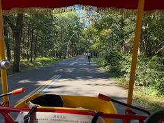 -日照海滨国家森林公园