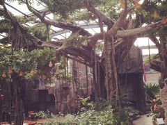 巨鼎酒店(巨鼎生态园酒店)-老山东·山东菜(鲁菜名店)