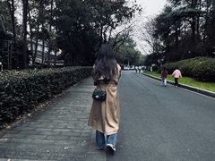 -北极阁公园