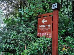 门面-成都大熊猫繁育研究基地