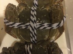-喜洋洋蟹庄(阳澄湖店)