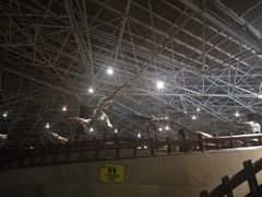 -世界恐龙谷景区