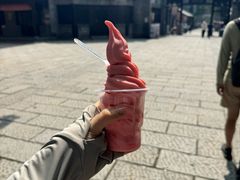 -红嫂家乡旅游区