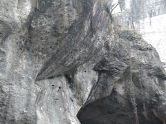 -柯岩风景区