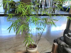 大堂-大书房咖啡(中传国交店)