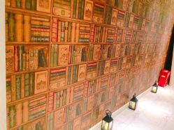 -海茱雅科技健康美容