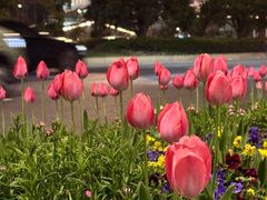 -杭州奥体中心-体育场