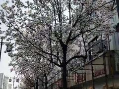 -石湖景区