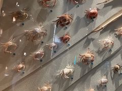-中国湿地博物馆