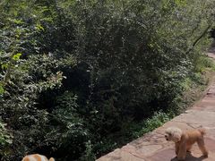 -苍岩山风景名胜区