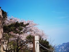 -崂山巨峰游览区