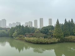 -青枫公园