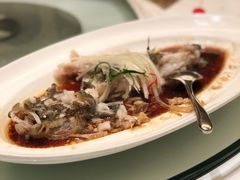 清蒸笋壳鱼-富淳饭店(陆家嘴保利广场店)