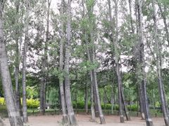 -Local泰莲庭(虹鳟鱼店)