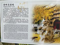 -北京石刻艺术博物馆(五塔寺)