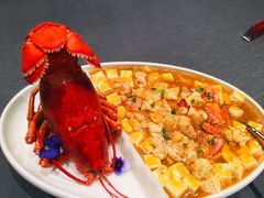 波士顿龙虾麻婆豆腐-悦秀·高级粤菜