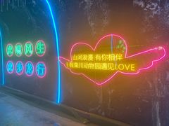 -栾川竹海野生动物园