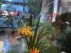 -鲤院·新中式美学·庭院餐厅(夫子庙店)