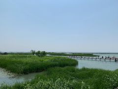 -苏州太湖湖滨国家湿地公园
