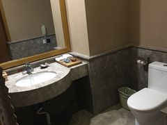 -丰顺宝丰酒店温泉