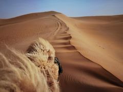 -亿利库布其七星湖沙漠生态旅游区