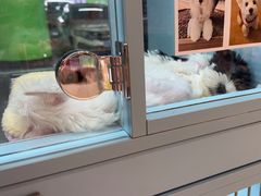 -FAELING PETS美天灵宠物(合生汇店)