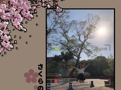 -四川大学(望江校区)