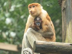 -广州长隆野生动物世界