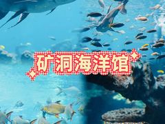 -长鹿旅游休博园