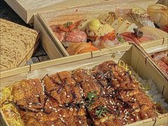 -合肥野生动物园