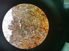 -佳怡动物医院·平价24小时·猫专科骨外科