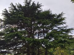 -青岛德国总督楼旧址博物馆