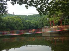 -华西村