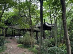 -上海佘山国家森林公园天马山园