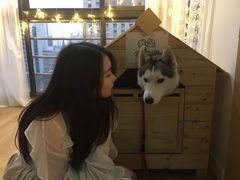 -Husky Go! 哈士奇体验馆·宠物咖啡厅狗咖