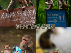 -黔灵山公园