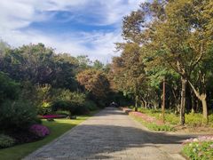 -上海滨江森林公园