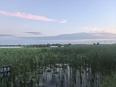-南湖湿地公园