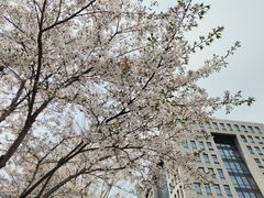 -北京理工大学(中关村校区)