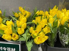 -鹿岛生活(熙地港店)