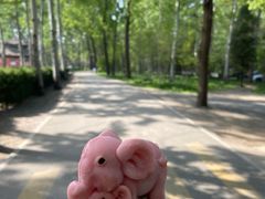 -秦皇岛野生动物园