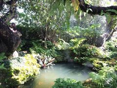 -Chom Cafe and Restaurant